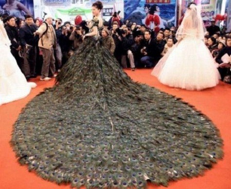 Váy lông công Đây là chiếc váy cưới đặc biệt được chế tác từ lông vũ của con công. Nó được làm ra bởi các nhà thiết kế Trung Quốc vào năm 2009 và được trưng bày tại hội chợ đám cưới ở Nam Kinh, Trung Quốc. Chiếc váy này có trị giá 1,9 triệu đô la. Để hoàn thành chiếc váy này phải cần đến 8 thợ chuyên nghiệp và mất đến 2 tuần lễ.
